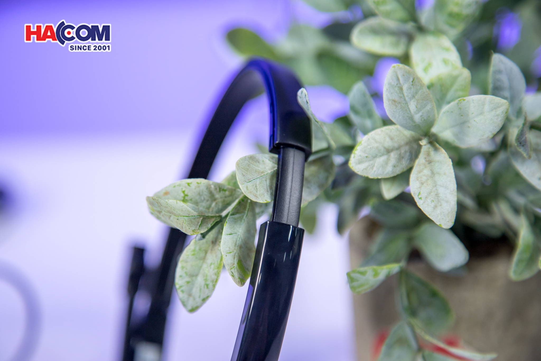 77780_tai_nghe_logitech_h151_08.JPG 9