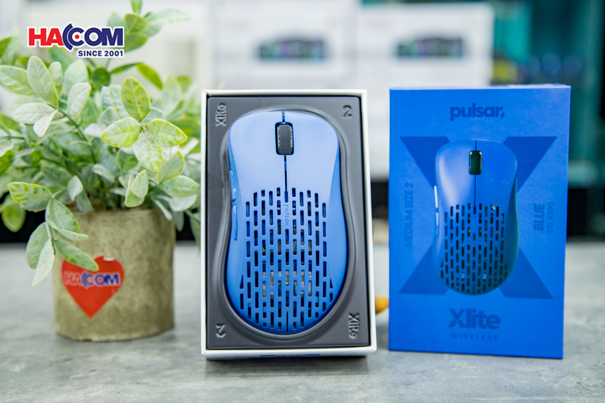 78962_chuot_khong_day_pulsar_xlite_v2_pxw26_wireless_competition_blue_02.JPG 7