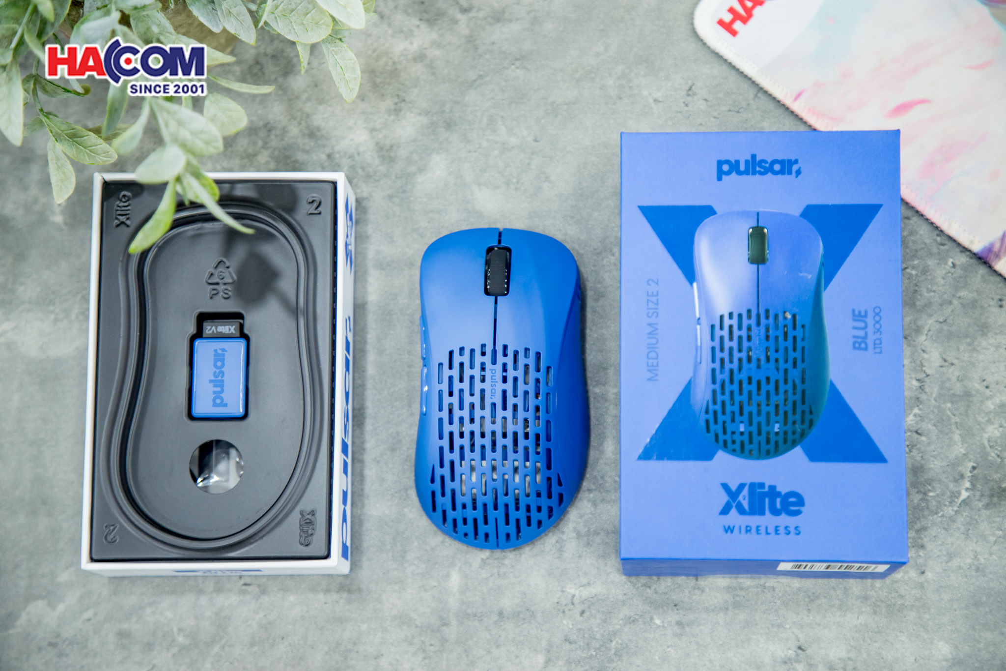 78962_chuot_khong_day_pulsar_xlite_v2_pxw26_wireless_competition_blue_03.JPG 8