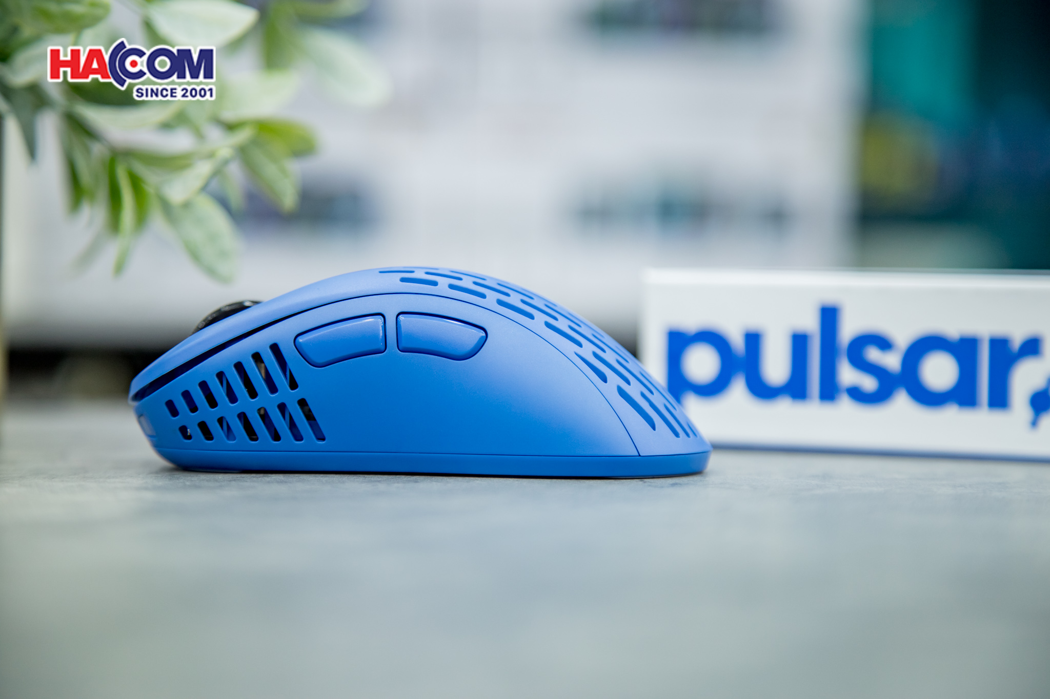 78962_chuot_khong_day_pulsar_xlite_v2_pxw26_wireless_competition_blue_05.JPG 10