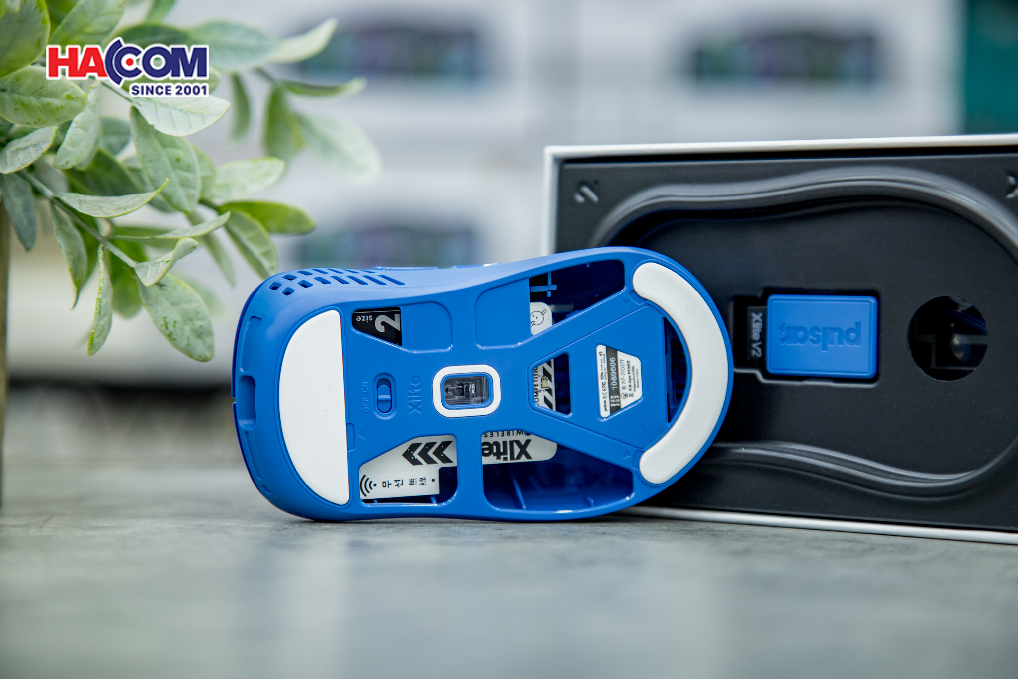 78962_chuot_khong_day_pulsar_xlite_v2_pxw26_wireless_competition_blue_06.JPG 11