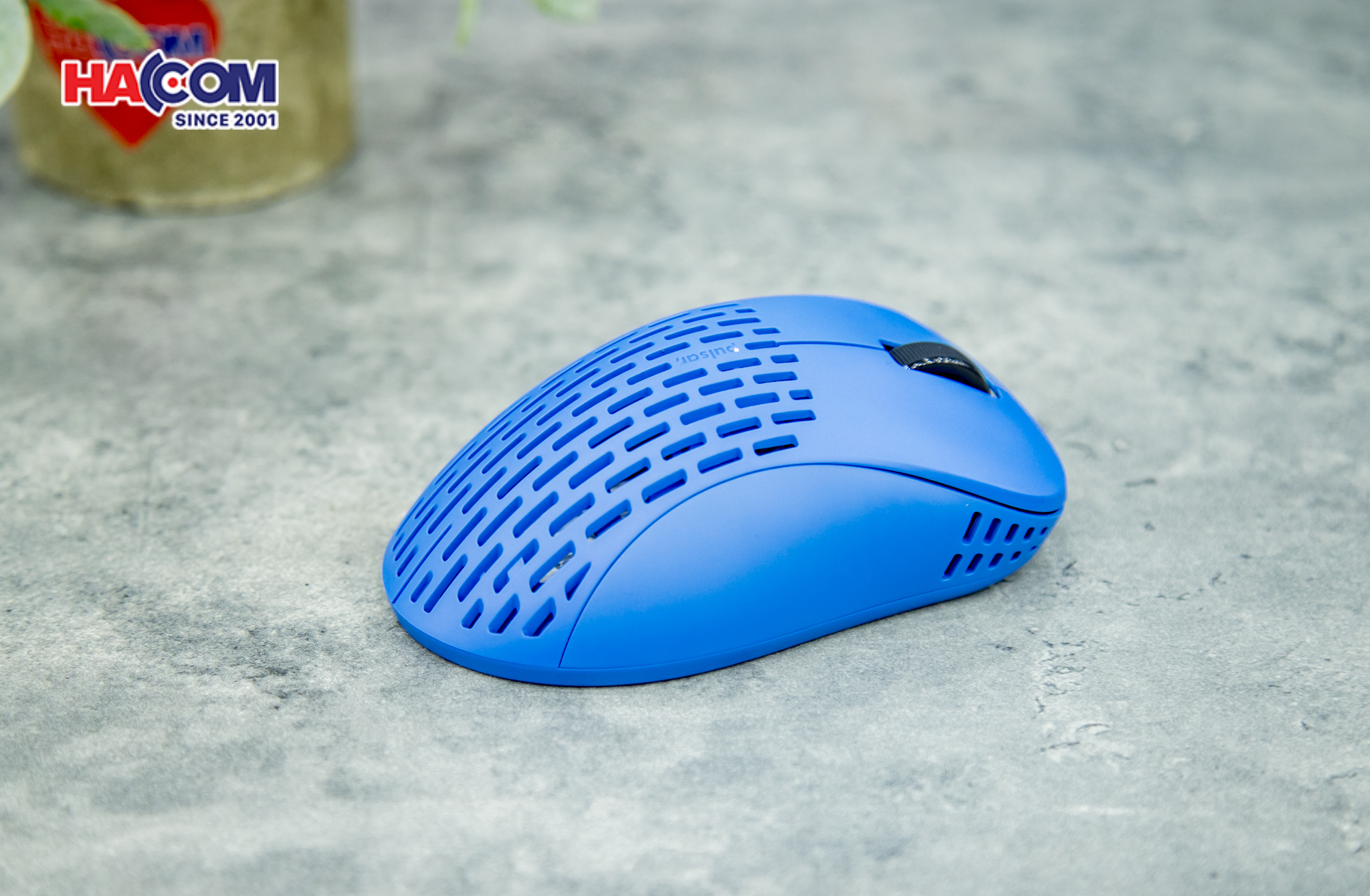 78962_chuot_khong_day_pulsar_xlite_v2_pxw26_wireless_competition_blue_09.JPG 14