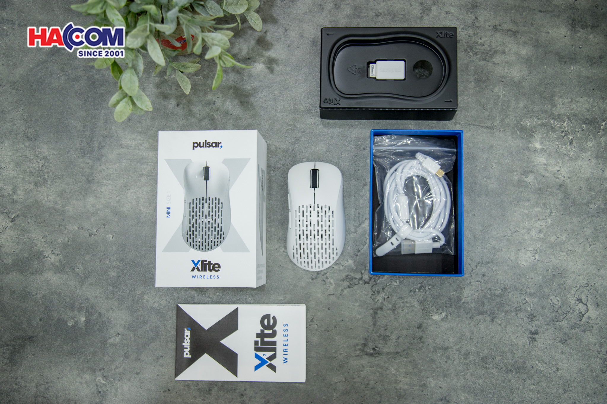 78969_chuot_khong_day_pulsar_xlite_v2_mini_pxw22s_wireless_white_010.JPG 13