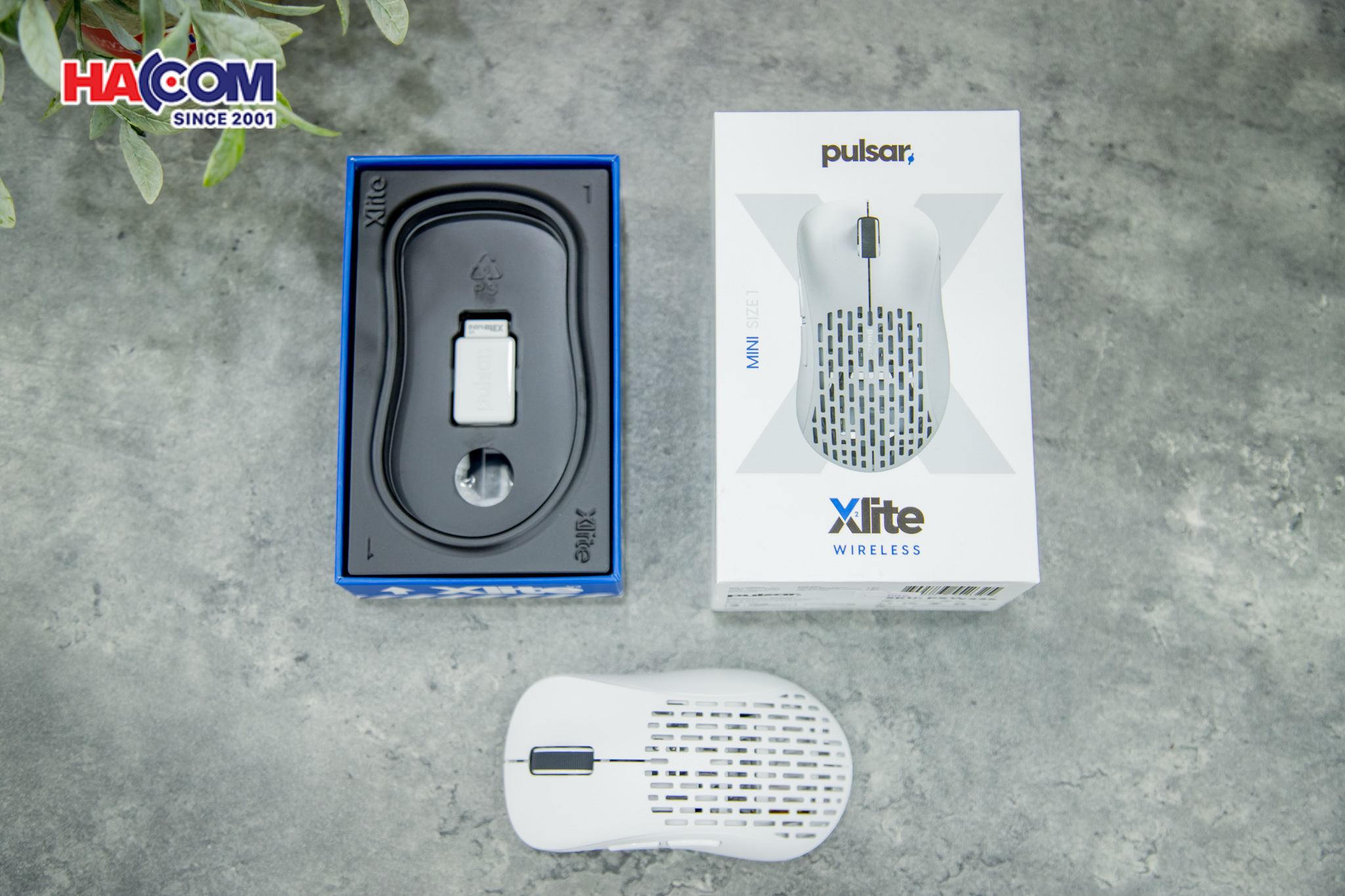 78969_chuot_khong_day_pulsar_xlite_v2_mini_pxw22s_wireless_white_04.JPG 7