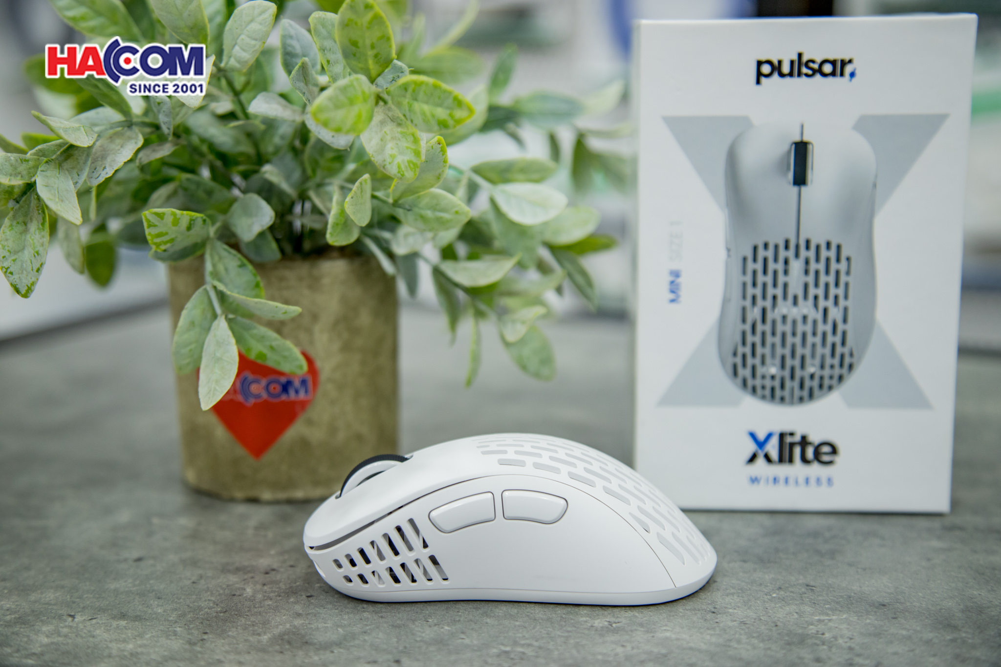 78969_chuot_khong_day_pulsar_xlite_v2_mini_pxw22s_wireless_white_05.JPG 8