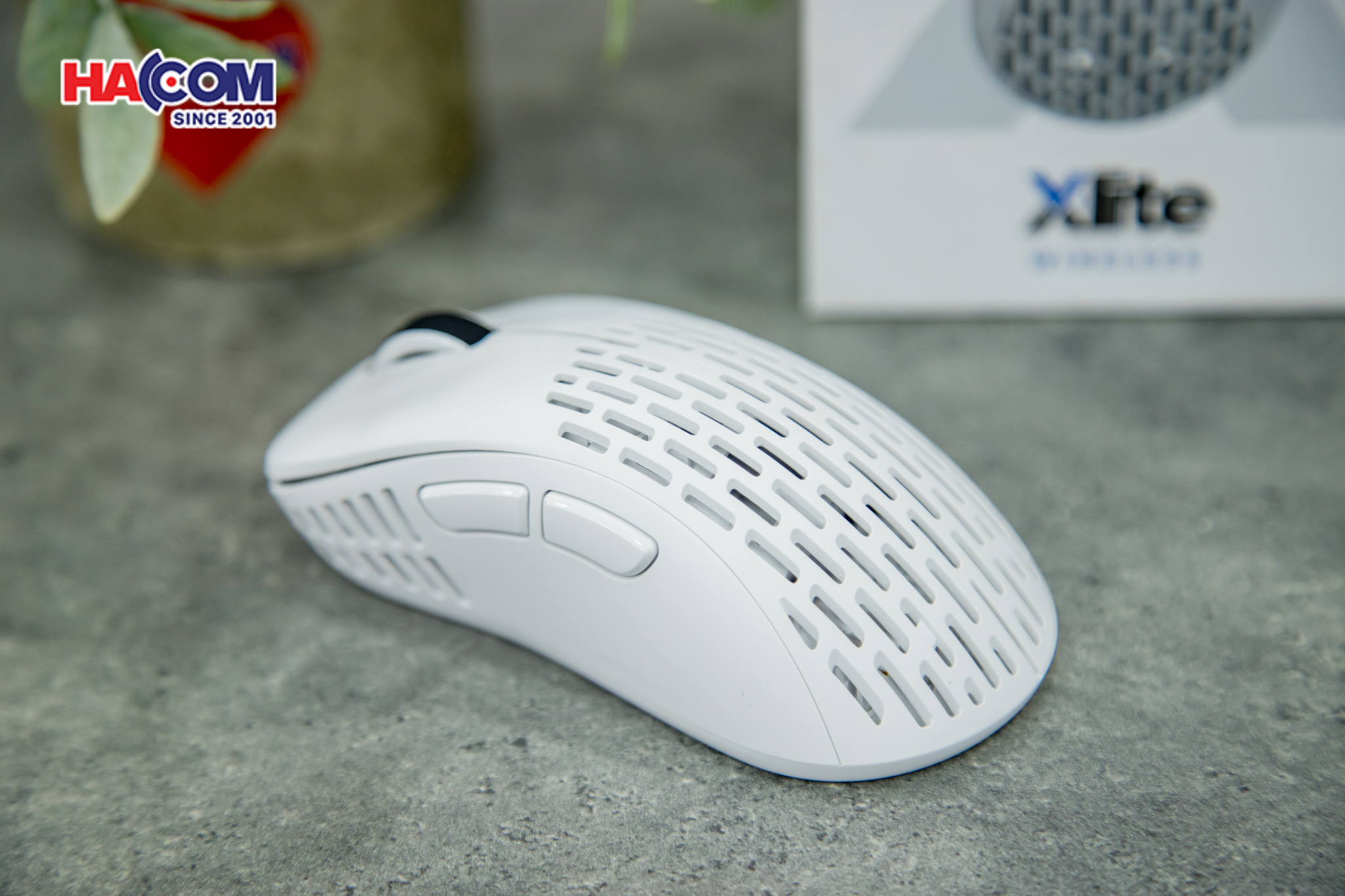 78969_chuot_khong_day_pulsar_xlite_v2_mini_pxw22s_wireless_white_06.JPG 9