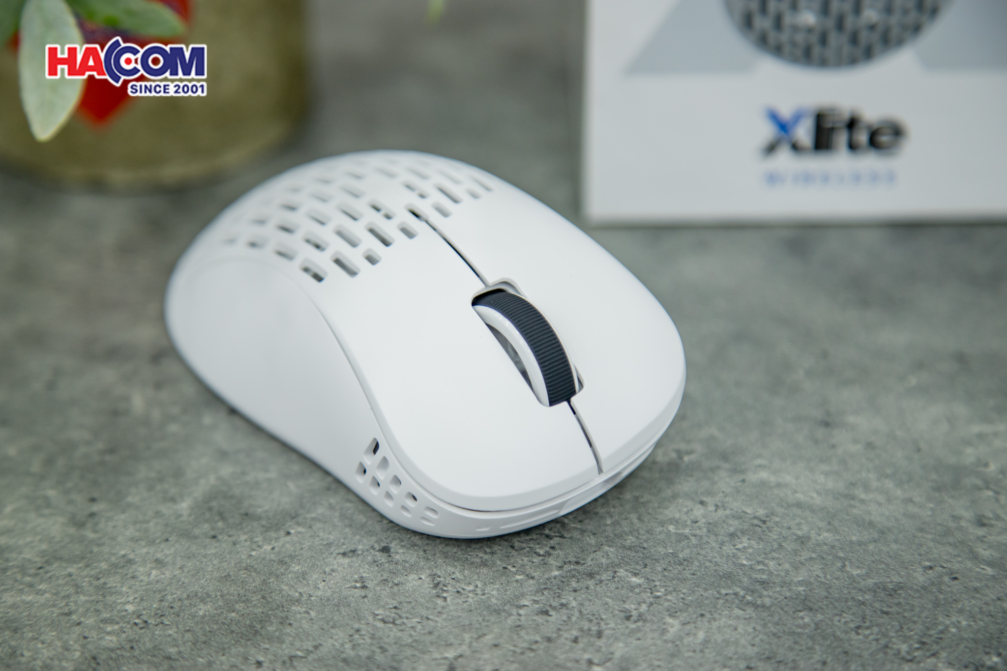 78969_chuot_khong_day_pulsar_xlite_v2_mini_pxw22s_wireless_white_07.JPG 10