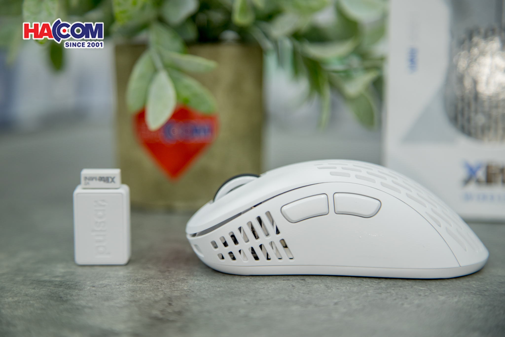 78969_chuot_khong_day_pulsar_xlite_v2_mini_pxw22s_wireless_white_09.JPG 12