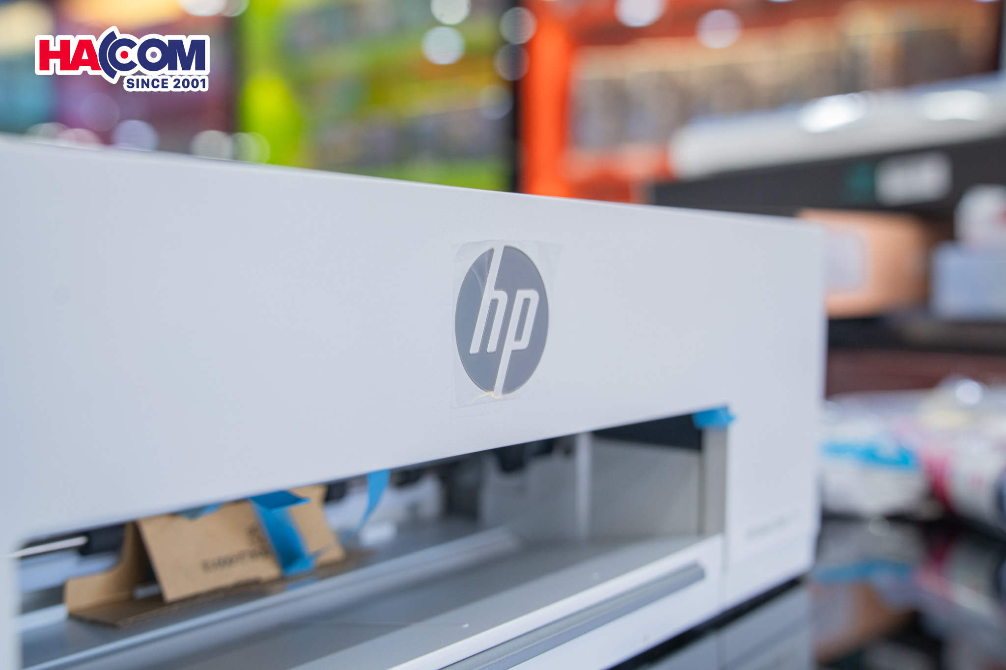 81110_dsc06437.jpg 6