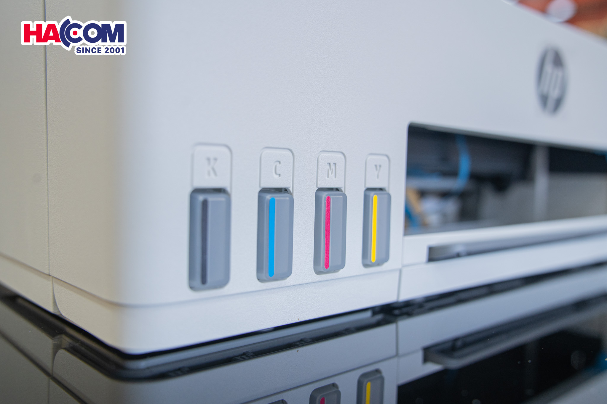 81110_dsc06439.jpg 7