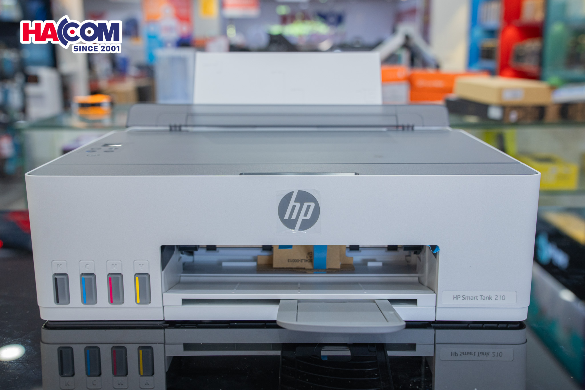 81110_dsc06455.jpg 5