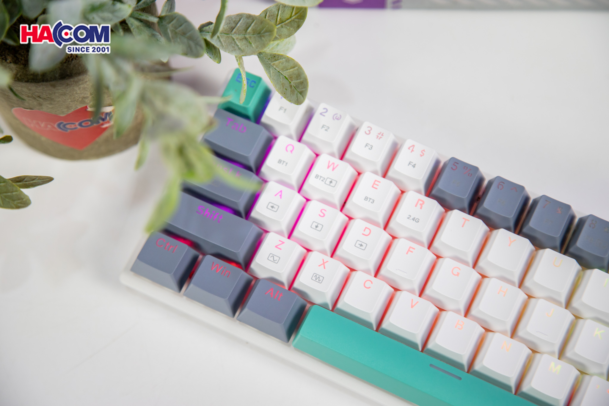 81529_ban_phim_co_machenike_k500_b61_wireless_white_grey_red_switch_led_rgb_05.jpg 5