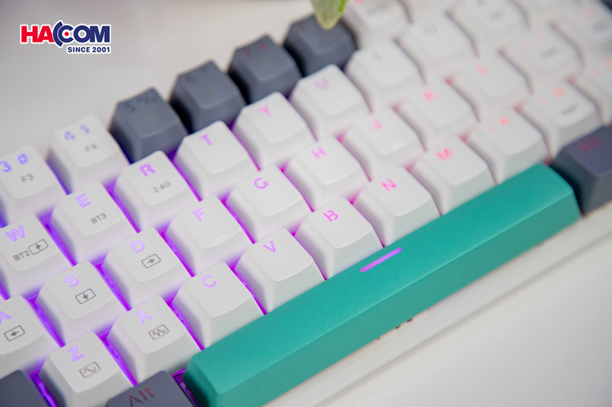 81529_ban_phim_co_machenike_k500_b61_wireless_white_grey_red_switch_led_rgb_07.jpg 7