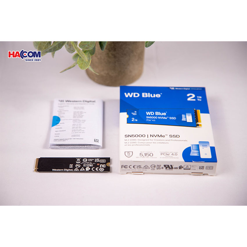 Ổ Cứng SSD WD SN580 Blue 2TB – M.2 2280 PCIe Gen4 x4 (Đọc 4150MB/s - Ghi 4150MB/s) - (WDS200T3B0E) - Hình 5