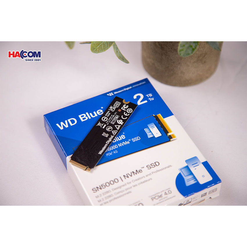Ổ Cứng SSD WD SN580 Blue 2TB – M.2 2280 PCIe Gen4 x4 (Đọc 4150MB/s - Ghi 4150MB/s) - (WDS200T3B0E) - Hình 4