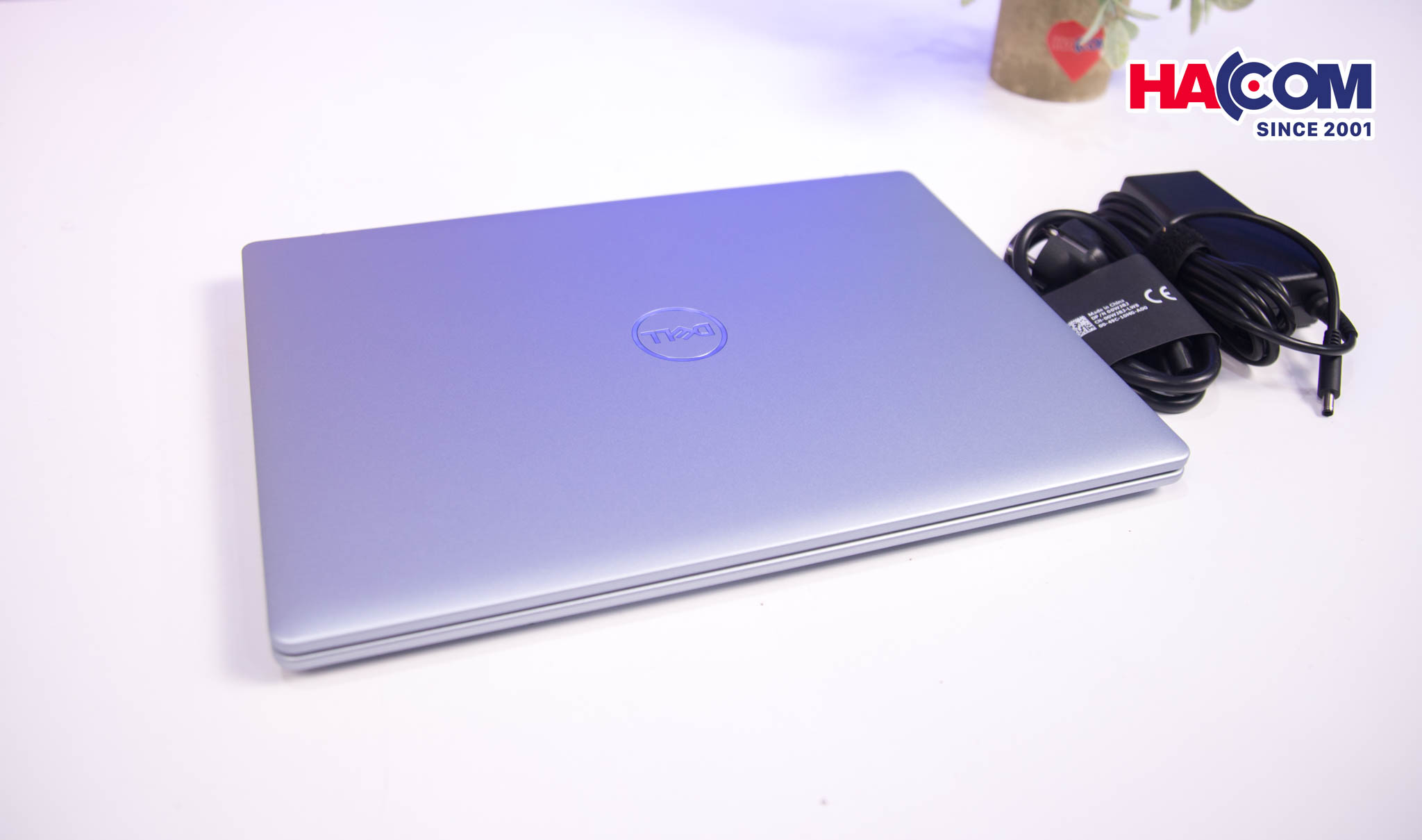 82355_img_0345.jpg 16