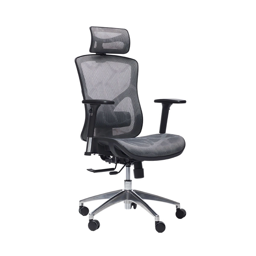 Ghế Công Thái Học Manson Vera Lưới Vân Rồng Xám - Hình 2