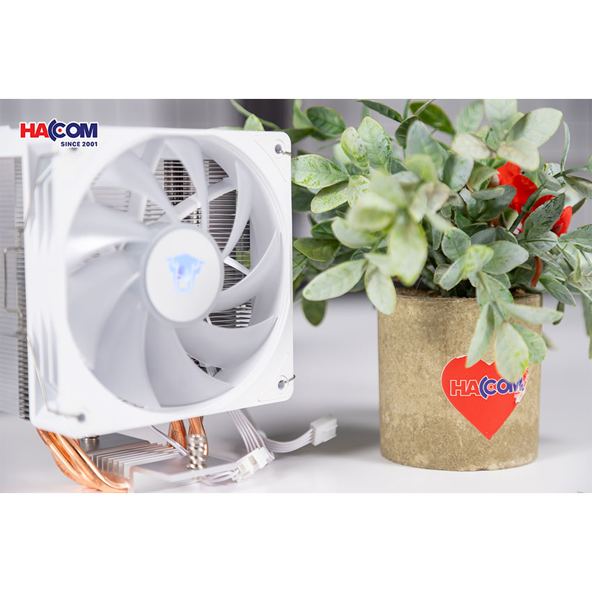 84616_t___n_nhi___t_kh___jungle_leopard_k400___1_.jpg 5