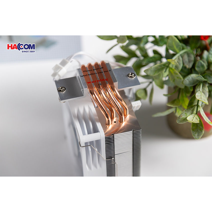 84616_t___n_nhi___t_kh___jungle_leopard_k400___3_.jpg 2