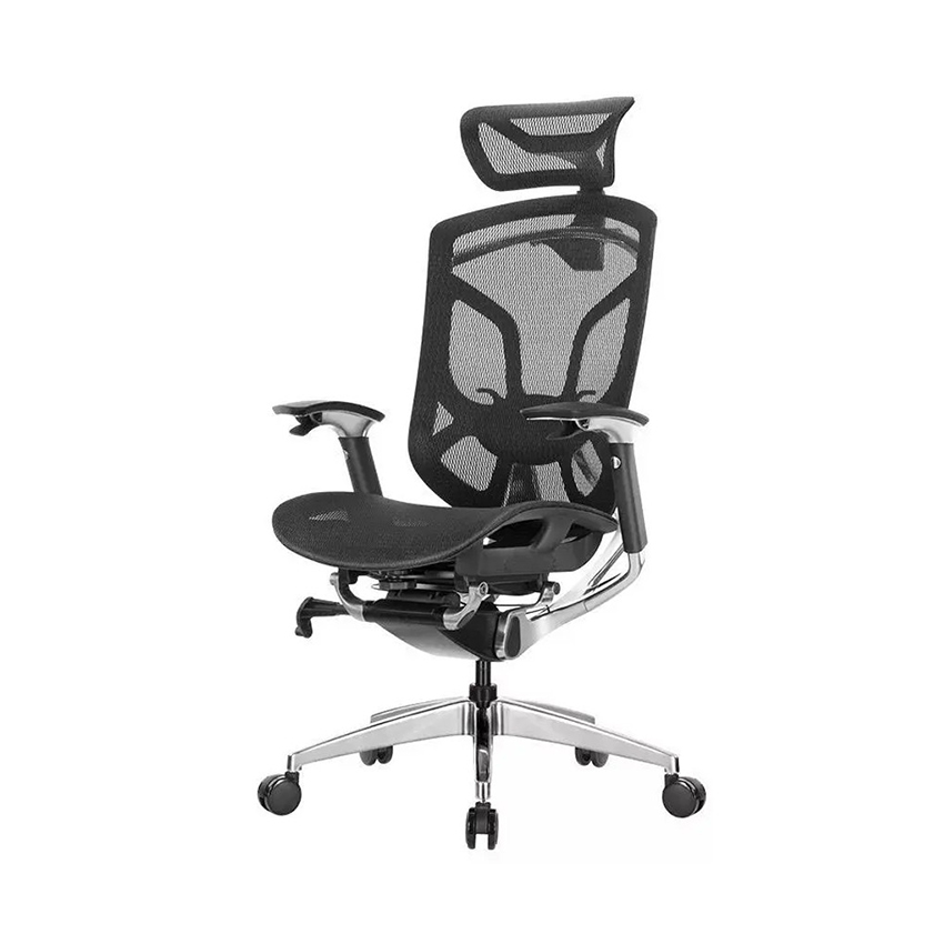 Ghế Công Thái Học GTChair Dvary Butterfly