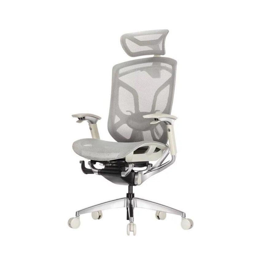 Ghế Công Thái Học GTChair Dvary Butterfly