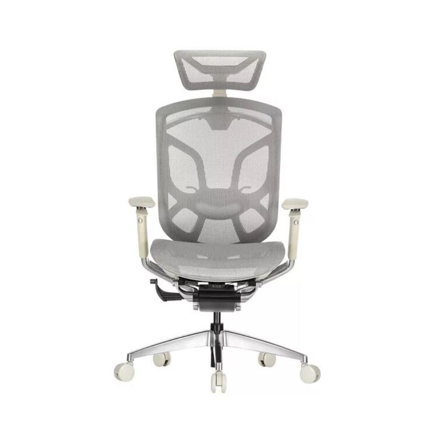 Ghế Công Thái Học GTChair Dvary Butterfly