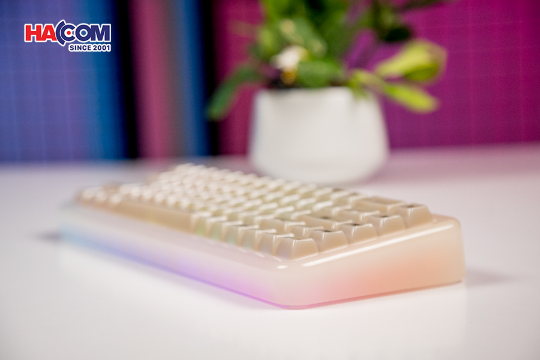 86818_ban_phim_akko_yu01_antique_jade_rgb_hotswap_piano_pro_sw_multi_mode_010.JPG 16