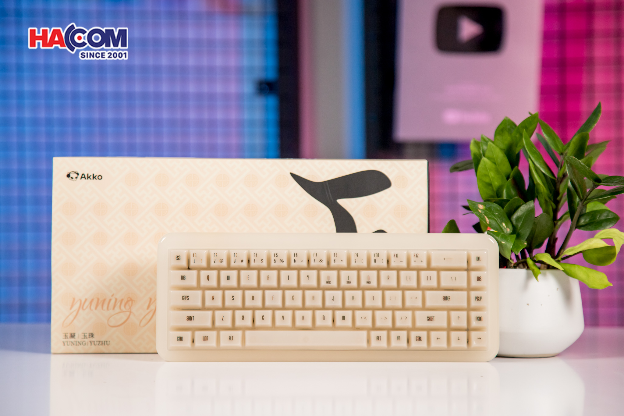 86818_ban_phim_akko_yu01_antique_jade_rgb_hotswap_piano_pro_sw_multi_mode_04.JPG 9