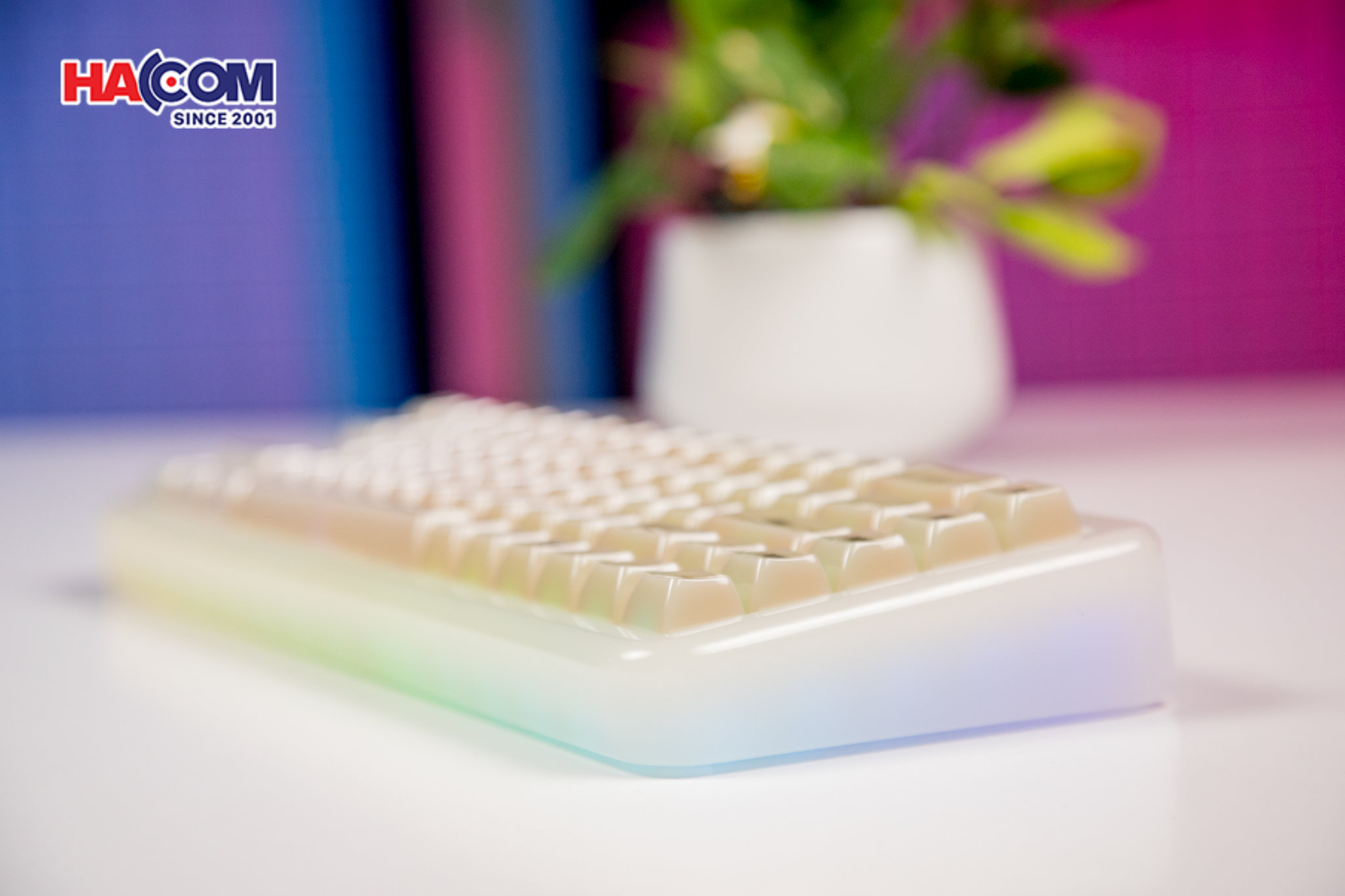 86818_ban_phim_akko_yu01_antique_jade_rgb_hotswap_piano_pro_sw_multi_mode_09.JPG 14