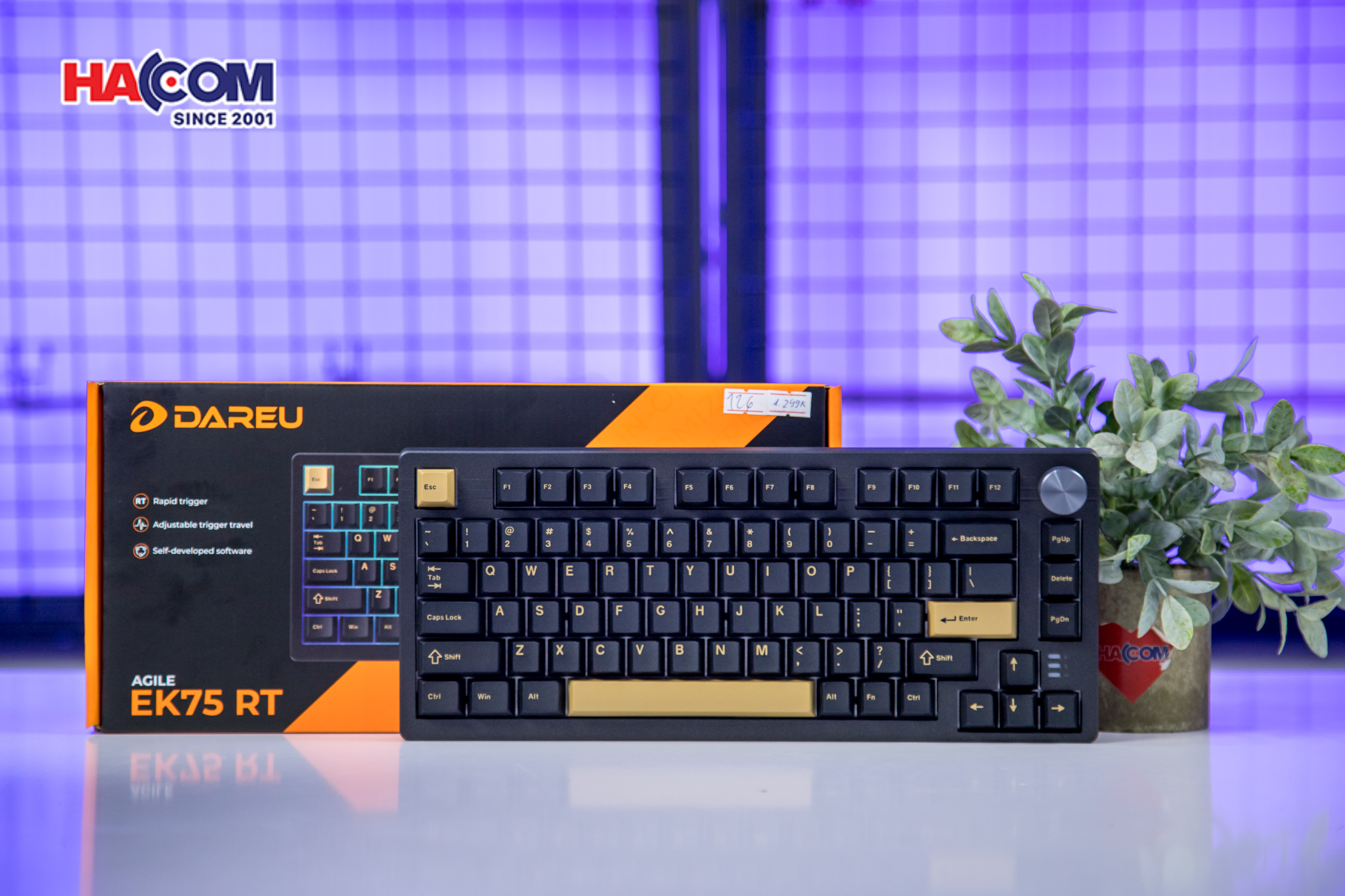 86857_ban_phim_co_gaming_dareu_ek75_rt_rapid_trigger_rgb_hotswap_magnetic_switch_03.JPG 8