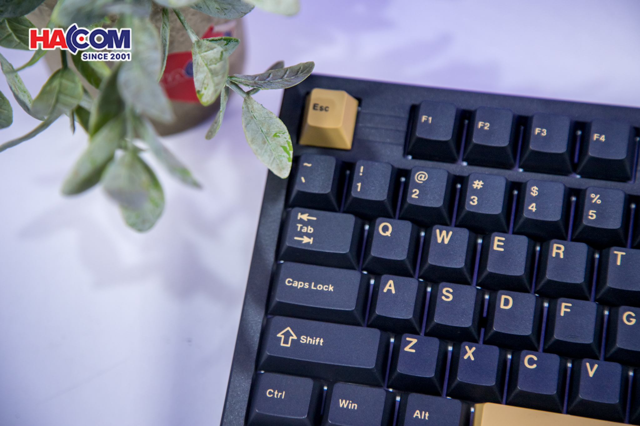 86857_ban_phim_co_gaming_dareu_ek75_rt_rapid_trigger_rgb_hotswap_magnetic_switch_07.JPG 12