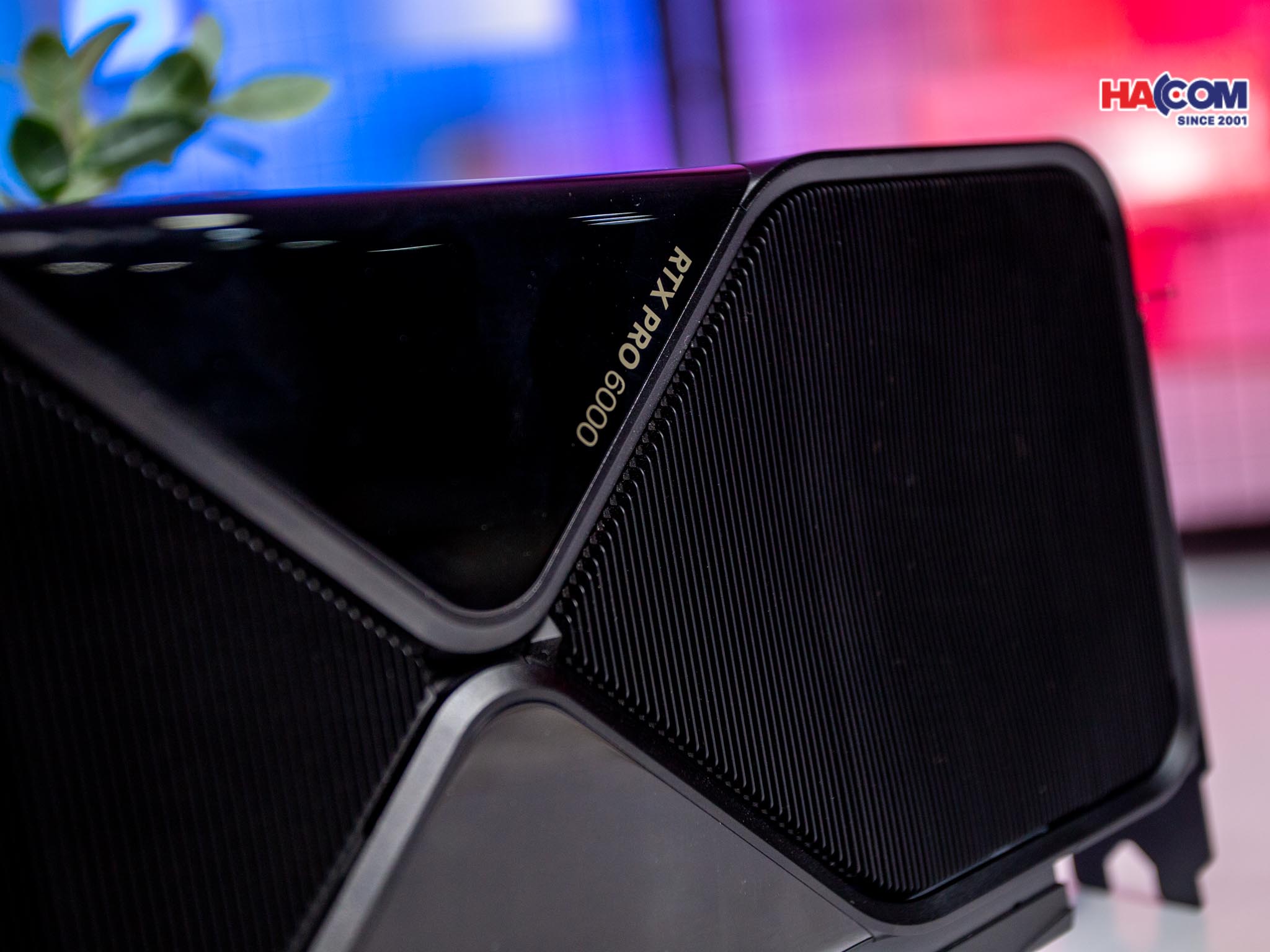 87220_img_9974.jpg 10