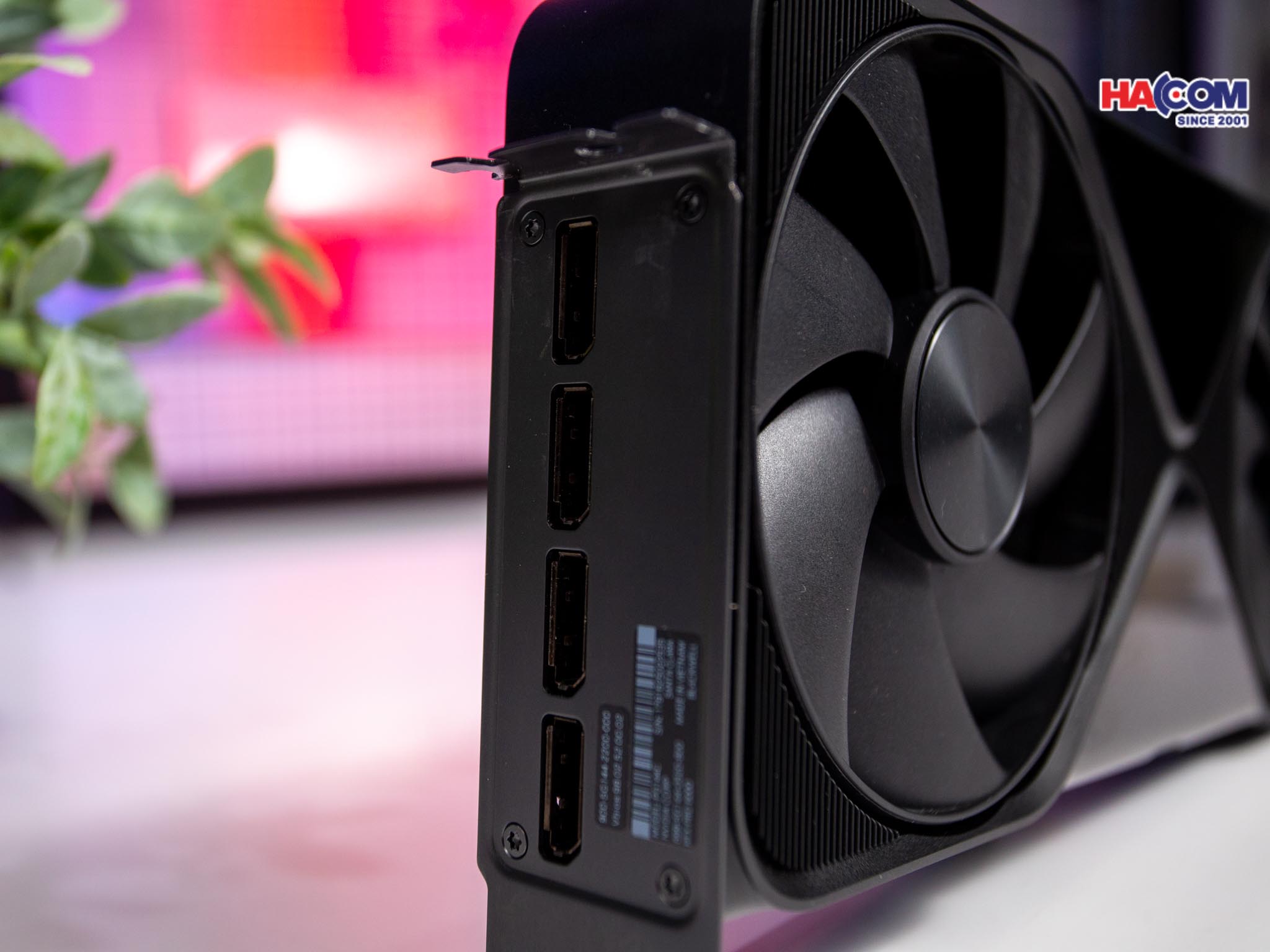 87220_img_9975.jpg 11