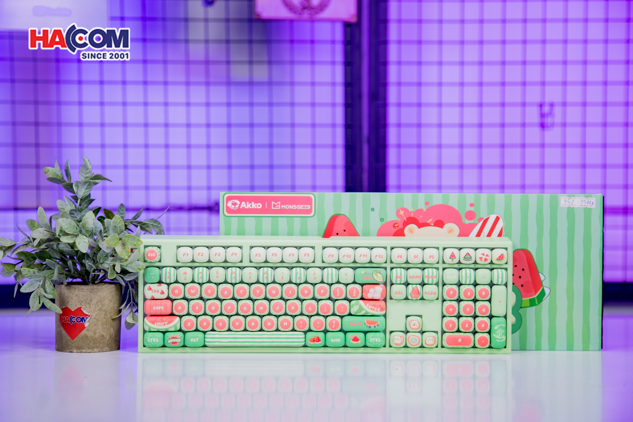 87854_ban_phim_monsgeek_mg108b_watermelon_multi_modes_rgb_hotswap_04.JPG 6