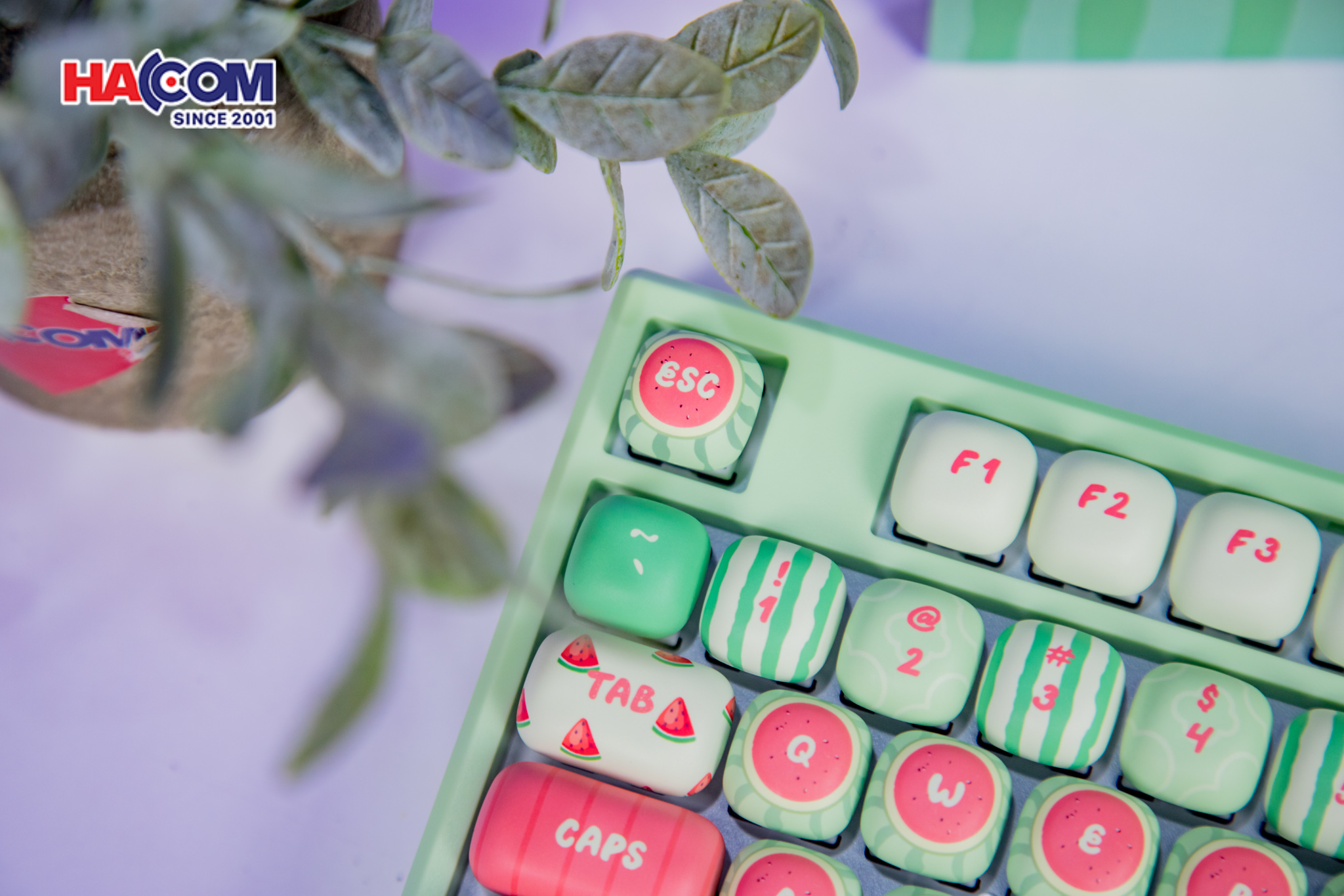 87854_ban_phim_monsgeek_mg108b_watermelon_multi_modes_rgb_hotswap_07.JPG 9