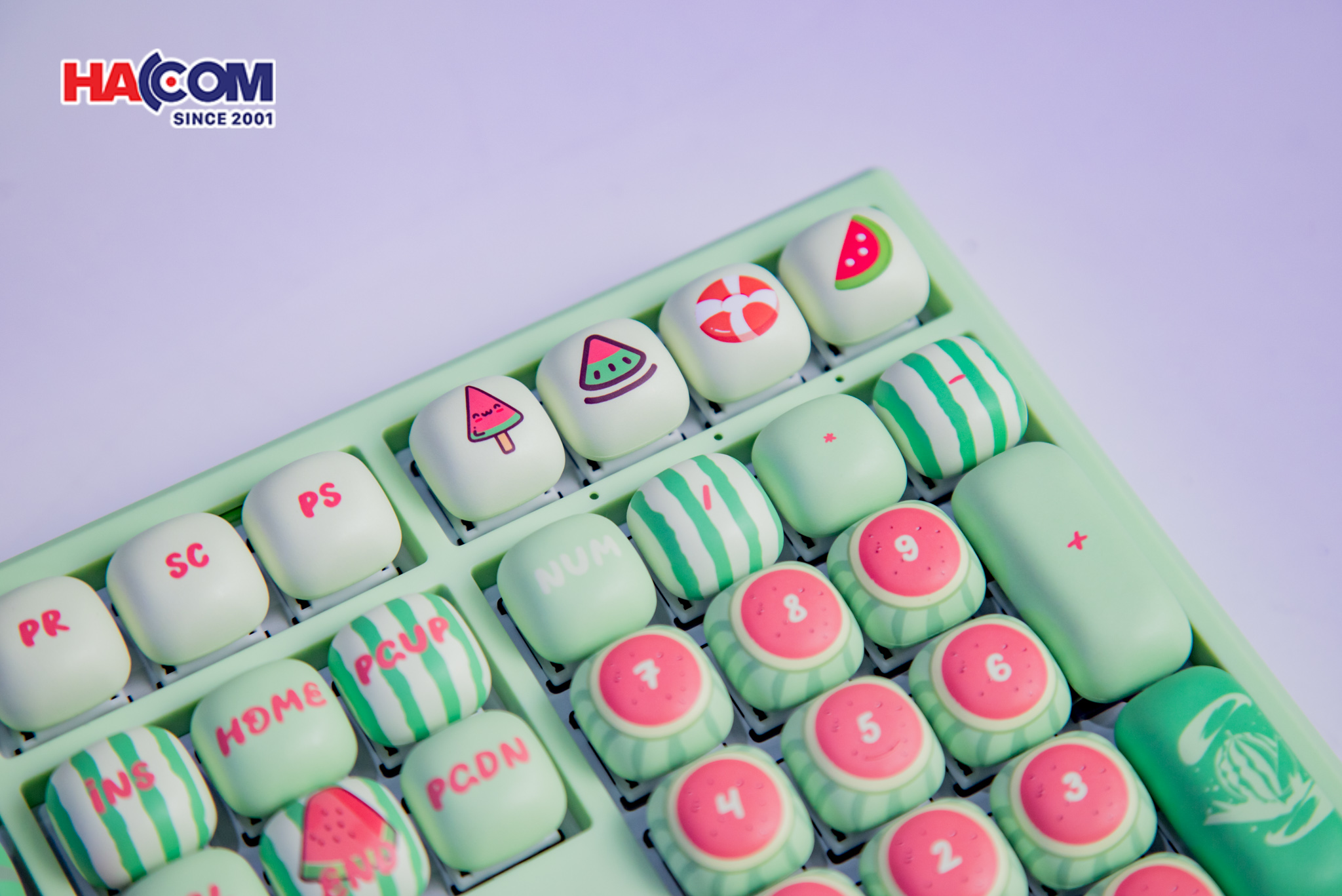 87854_ban_phim_monsgeek_mg108b_watermelon_multi_modes_rgb_hotswap_08.JPG 10