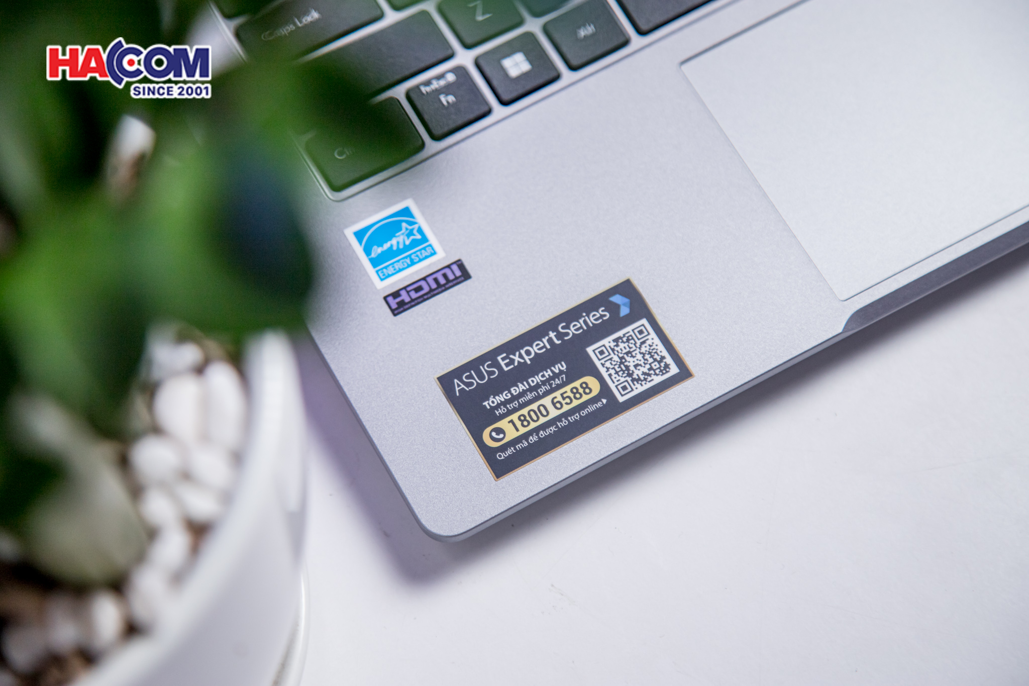 89331_laptop_asus_expertbook_p1403cva_i516_50w_013.JPG 27