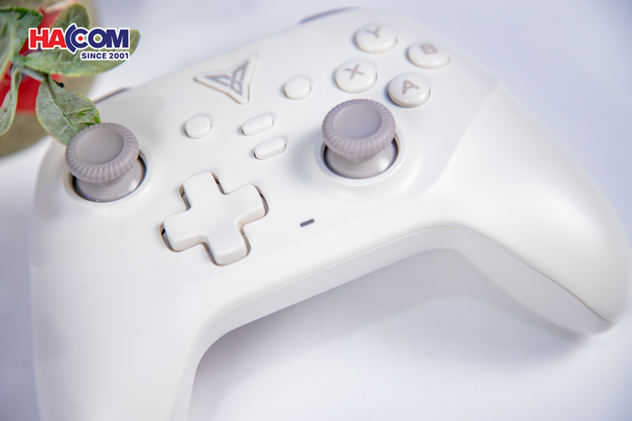 89522_tay_cam_choi_game_flydigi_dune_fox_mau_be_for_pc_ns_ios_native_mode_android_011.JPG 11