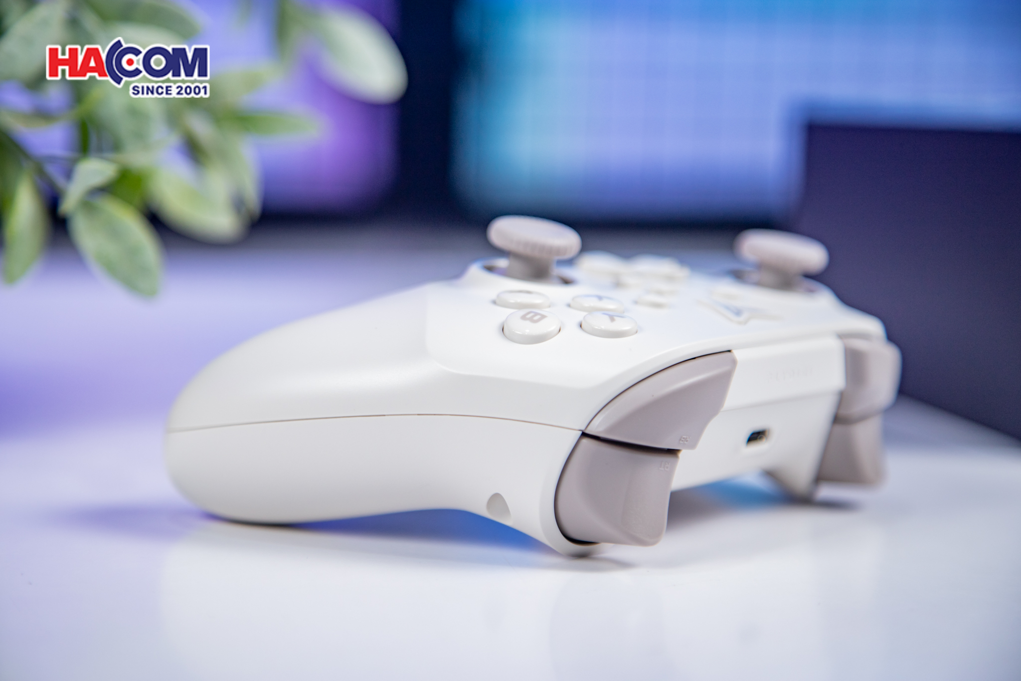 89522_tay_cam_choi_game_flydigi_dune_fox_mau_be_for_pc_ns_ios_native_mode_android_014.JPG 14