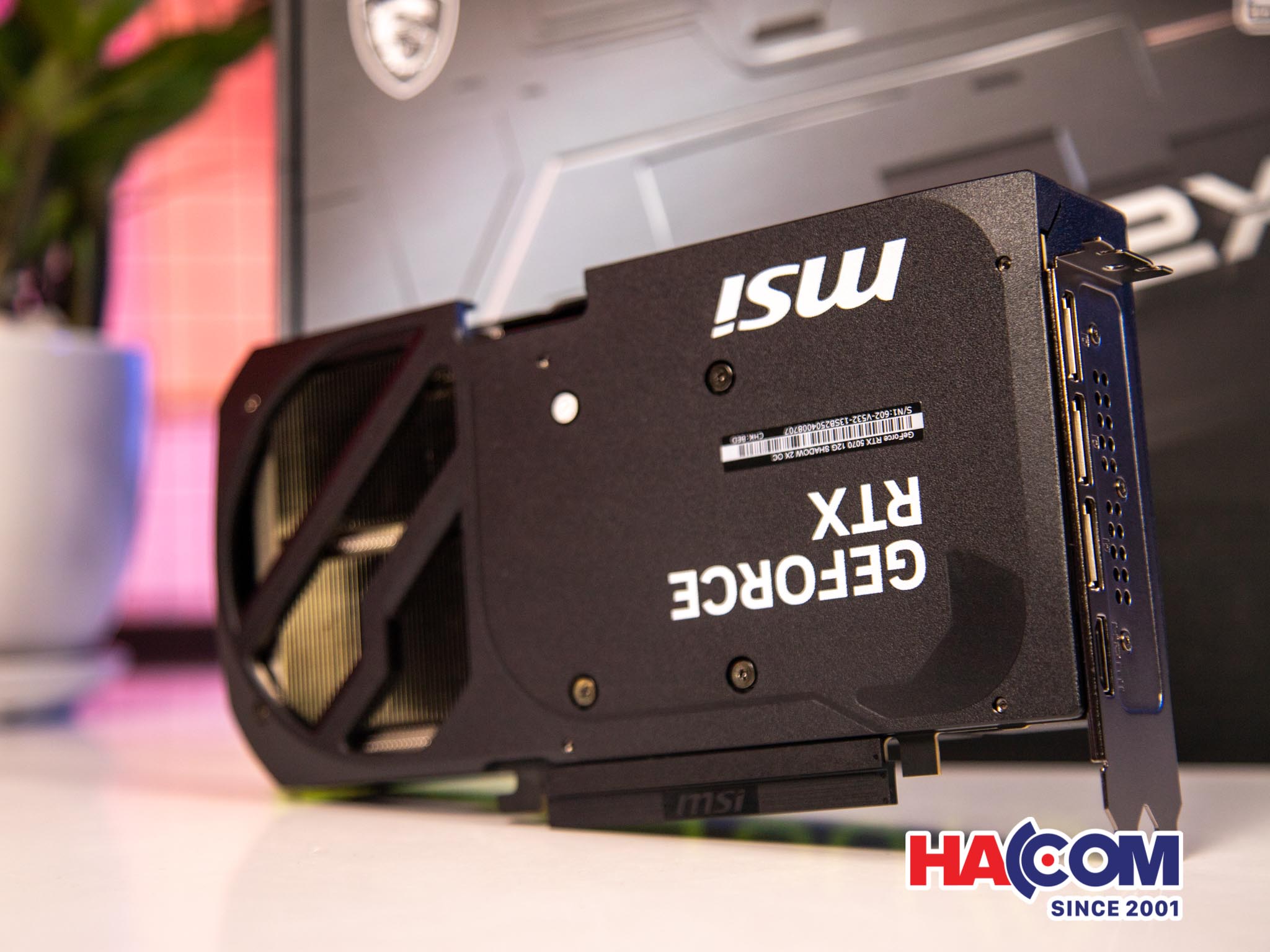 89724_vgms0562xxx__1_.jpg 10