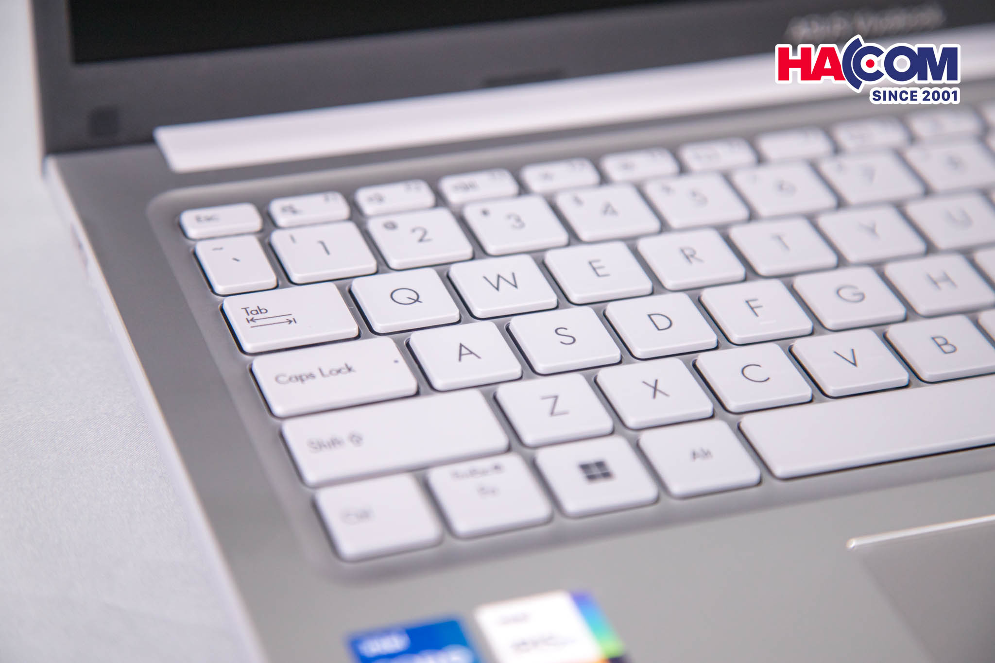 89900_img_0293.jpg 13