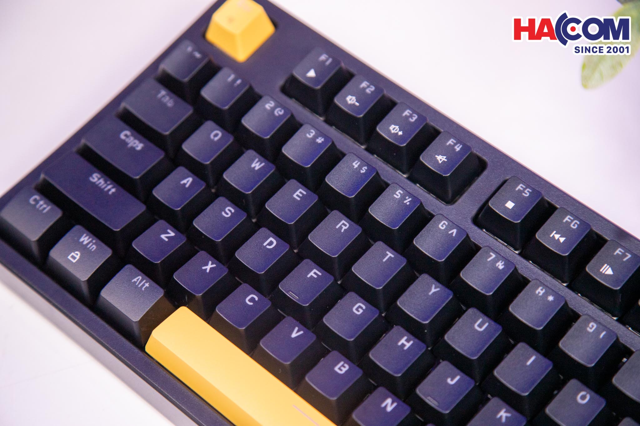 89927_ban_phim_co_gaming_co_day_edra_ek31607.jpg 11