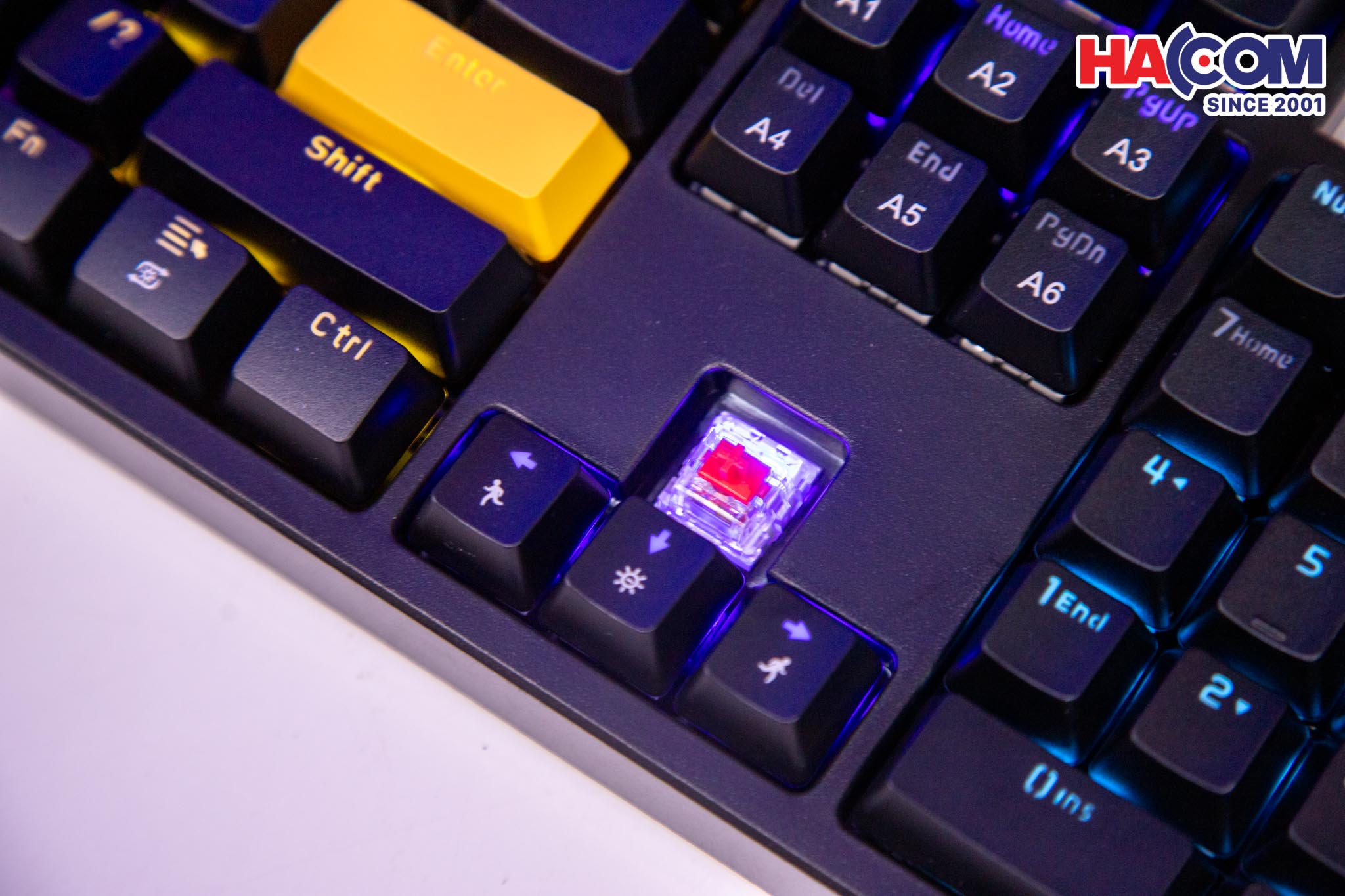 89927_ban_phim_co_gaming_co_day_edra_ek316_05.jpg 9