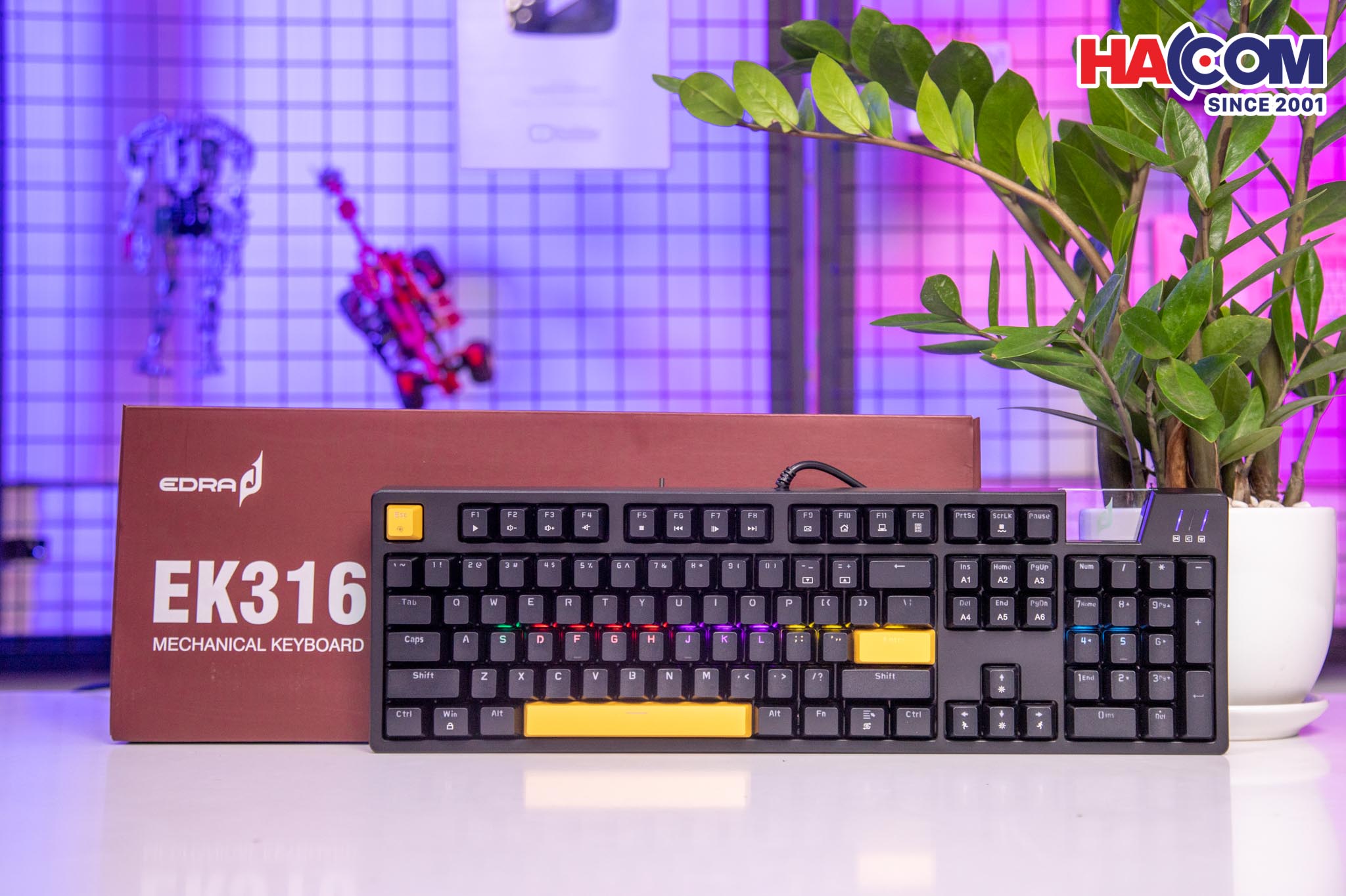 89928_ban_phim_co_gaming_co_day_edra_ek316_02.jpg 6