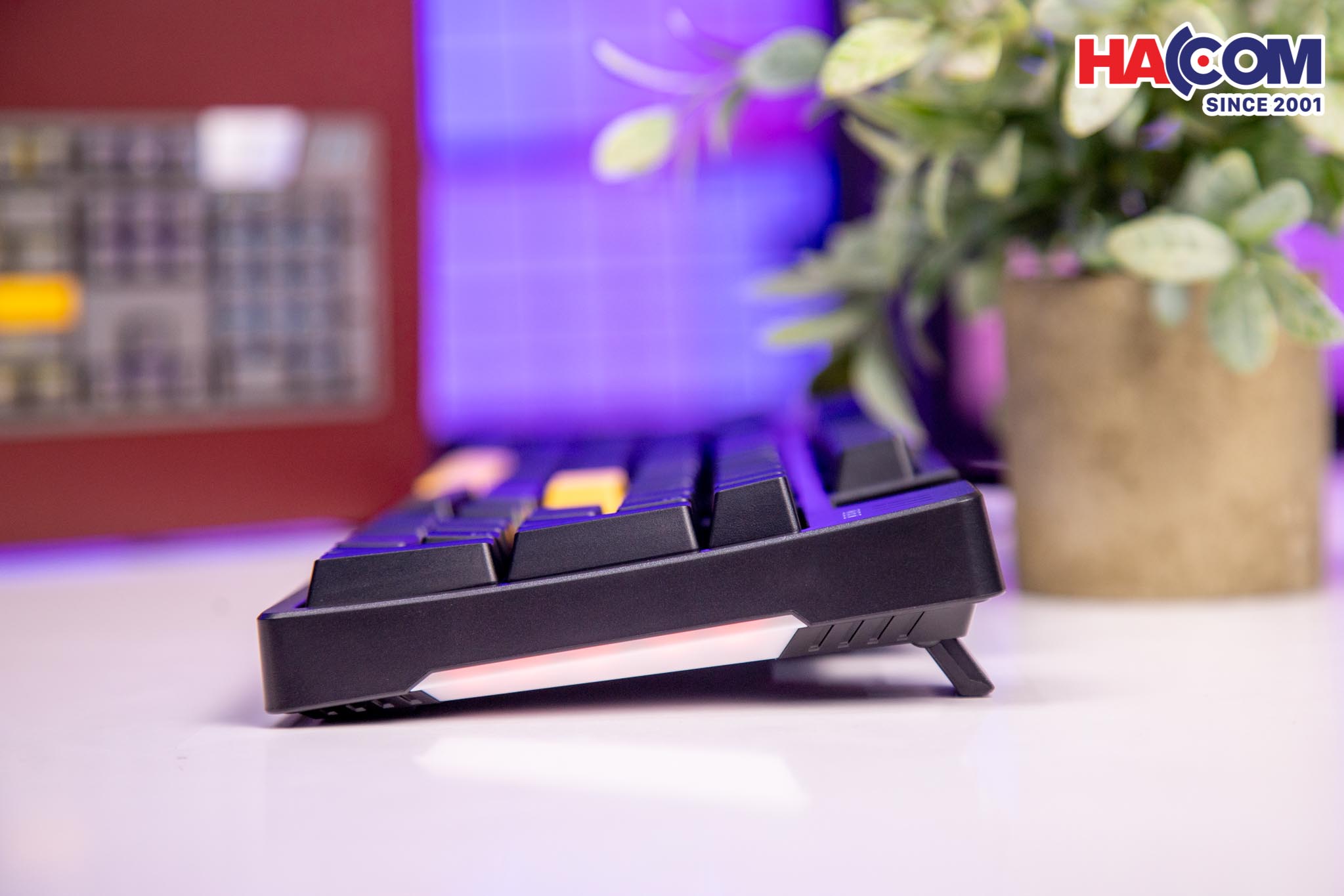 89928_ban_phim_co_gaming_co_day_edra_ek316_06.jpg 10