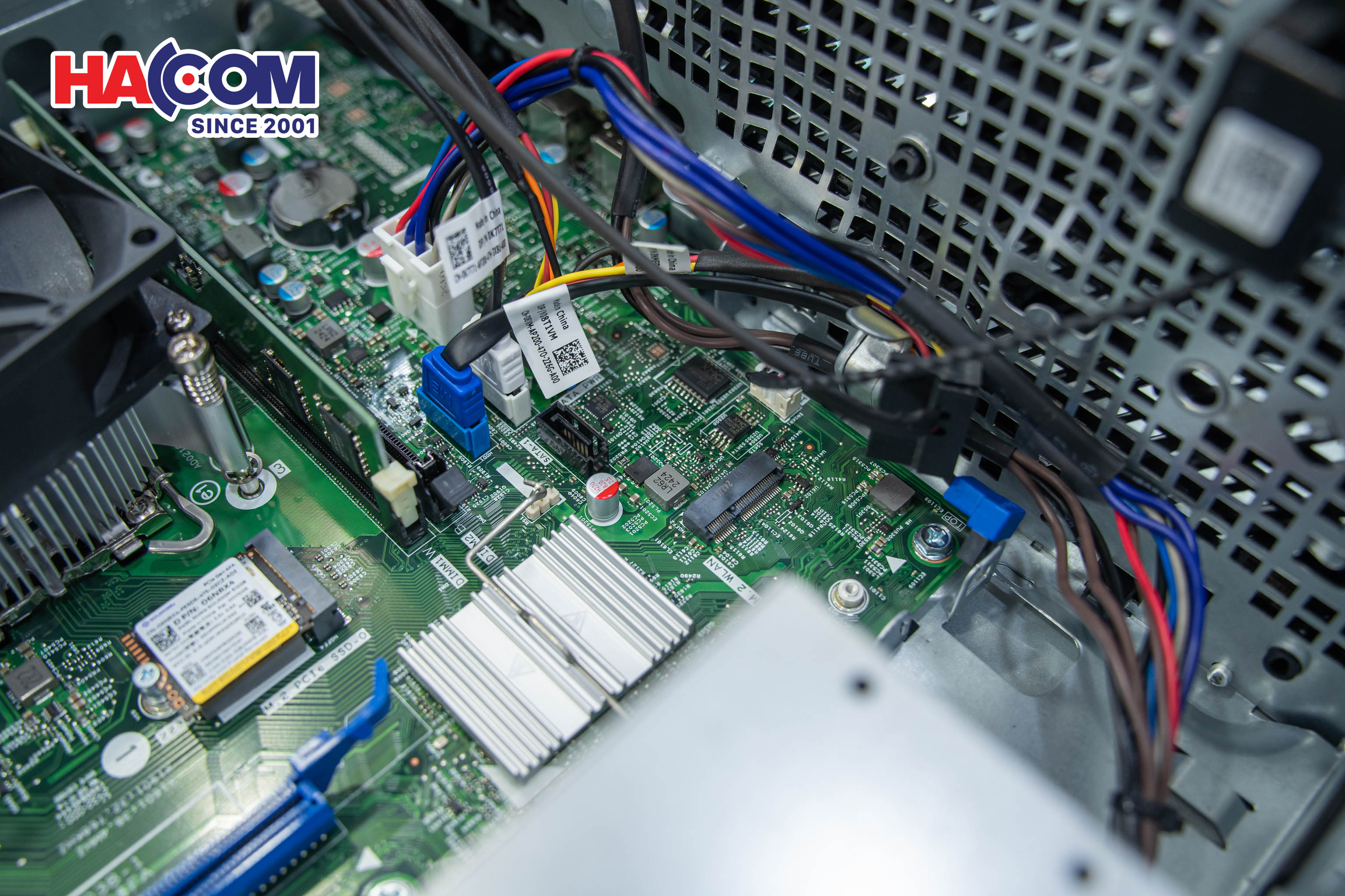 90225_dsc06532.jpg 12