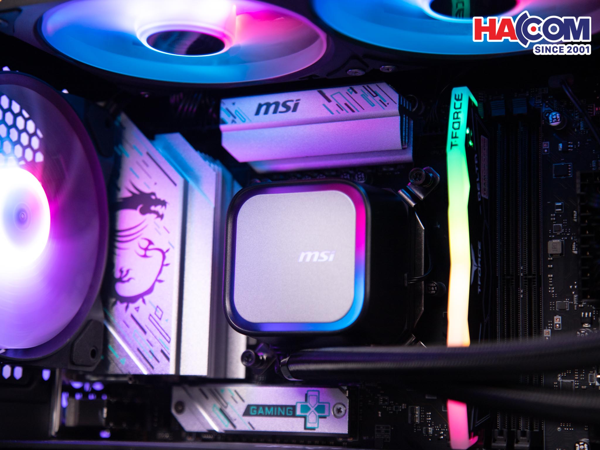 91346_pc_hacom_gold_018__5_.jpg 6