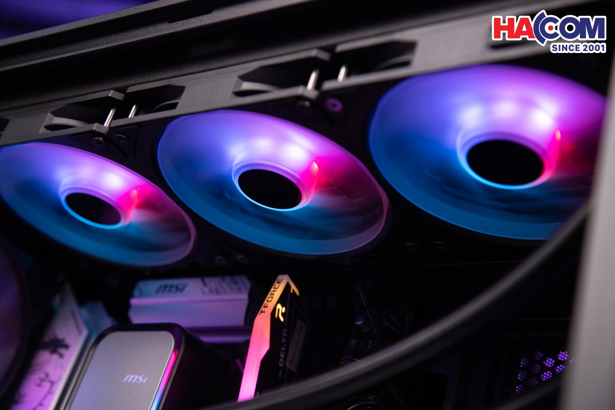 91346_pc_hacom_gold_018__8_.jpg 9