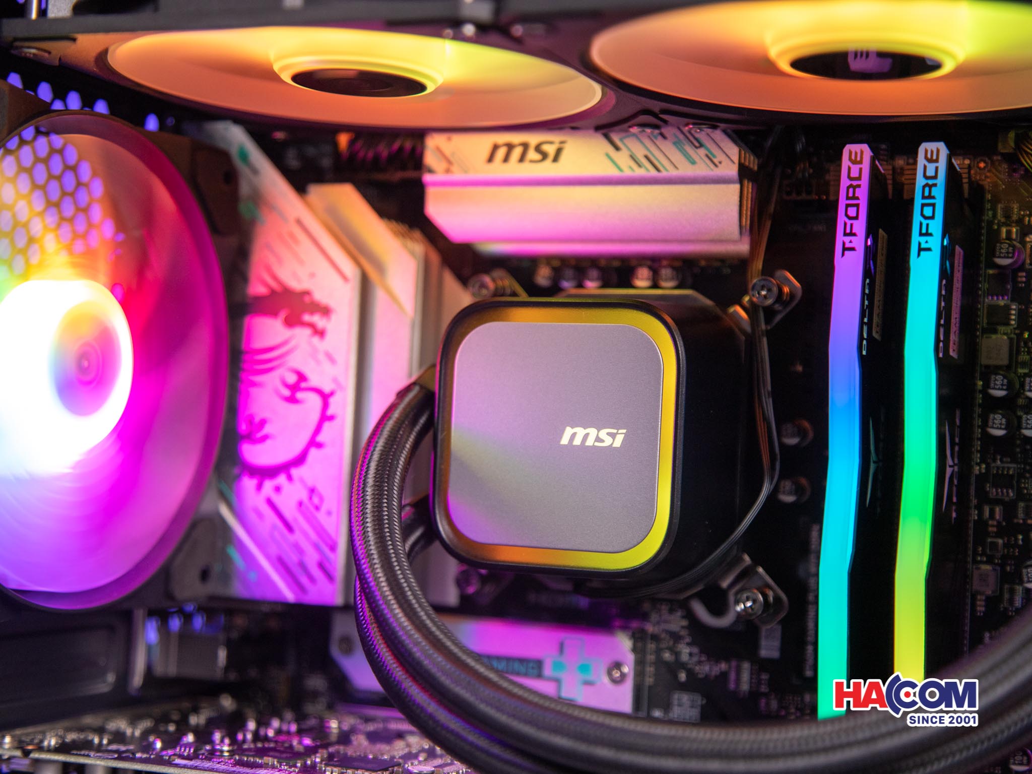 91347_pc_hacom_gold_019__2_.jpg 3