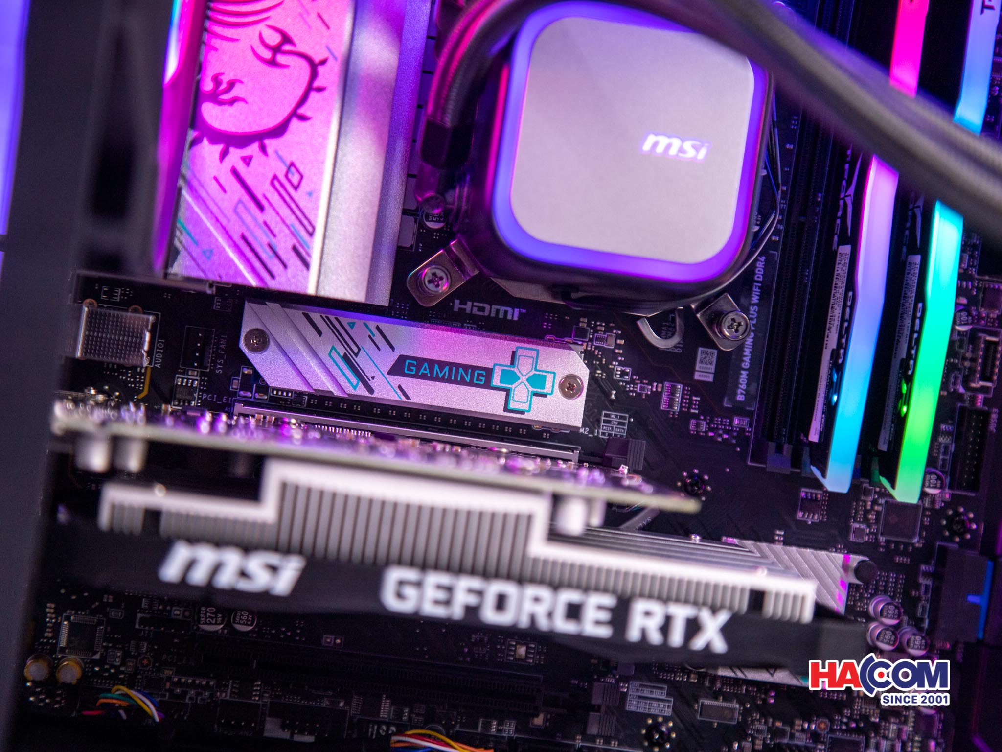 91347_pc_hacom_gold_019__4_.jpg 5